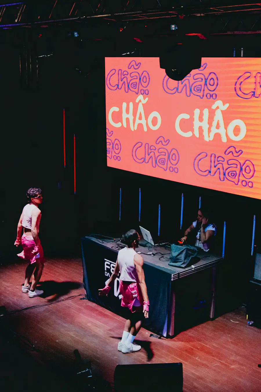 Performance no palco durante a festa