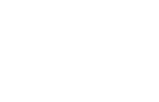 VBS Vibrasom